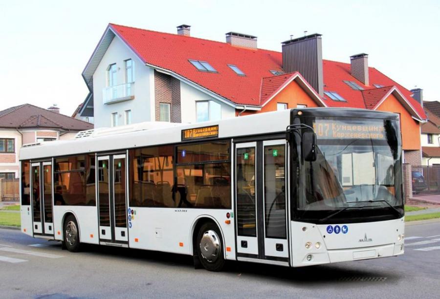  МАЗ-203 2006 года  (фото 6 из 10)